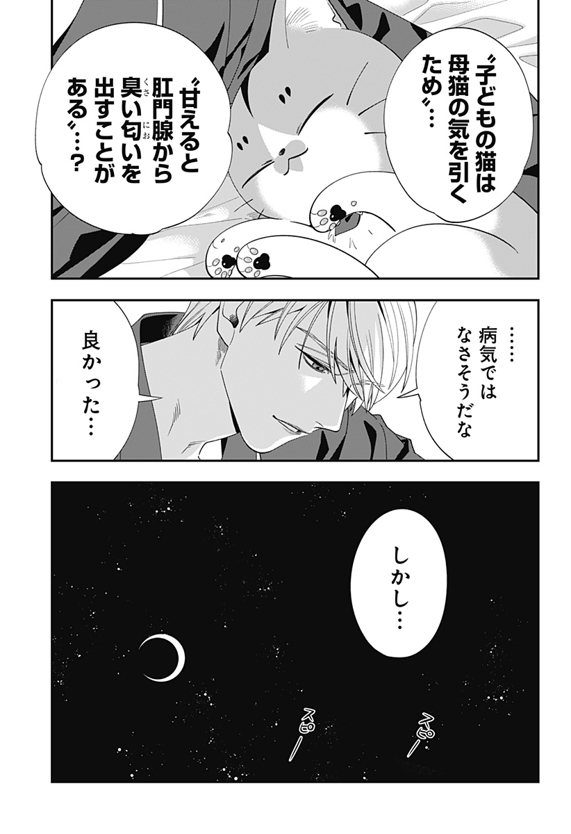 Miyaou Tarou ga Neko wo Kau Nante - Chapter 9 - Page 25